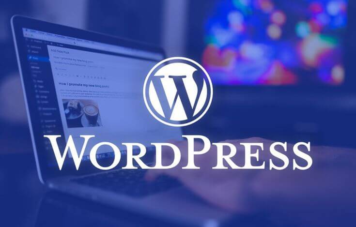 digital marketing wordpress building